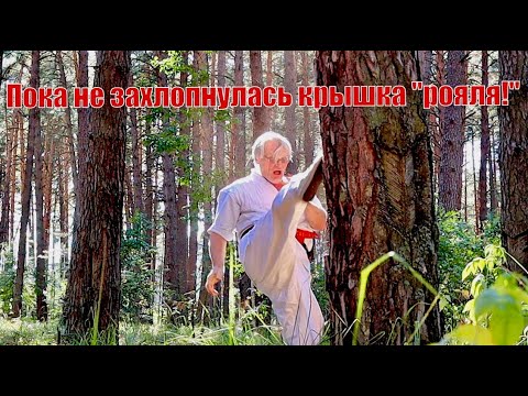 Видео: "Пока не захлопнулась крышка рояля". Мотивация.