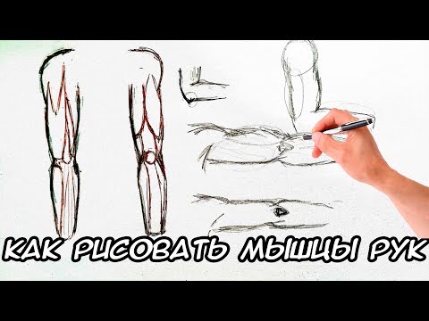 Видео: как рисовать  руки
