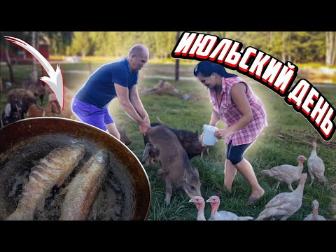 Видео: В длинный летний день успеваешь и потрудится и отдохнуть . Начало черновой стяжки и ловля рыбы .