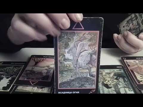 Видео: Кто Вас ненавидит? Даже кюшать не может💥💥💥😆