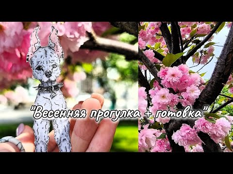 Видео: Белый доберман, цветущий парк, пасхальный секрет. Три истории в одном дне. Смотрите чтобы разгадать!