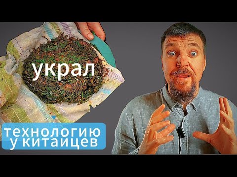 Видео: Сделай ИВАН-ЧАЙ