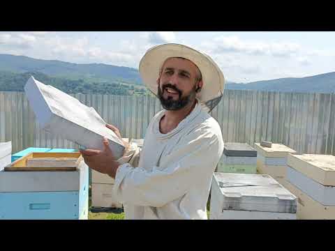 Видео: Бджоломатки ГОВНОматки !!!