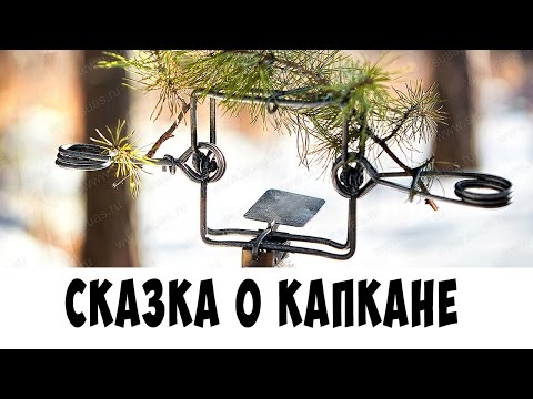 Видео: Сказка о гибридном капкане КП-120-С | Russian marten traps