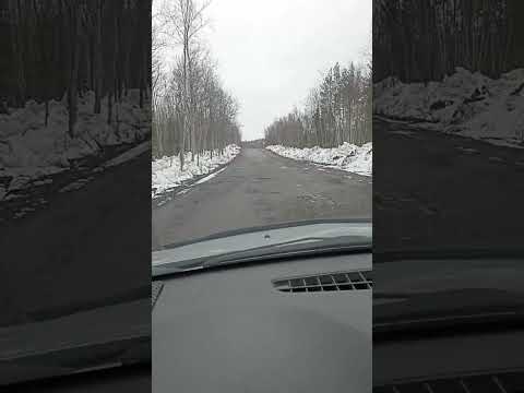 Видео: 11 мая 2024 г.