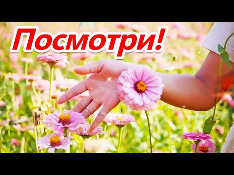 Видео: Пожелание ХОРОШЕГО ДНЯ!☀️🌈☀️🌈☀️Друзья радуги!