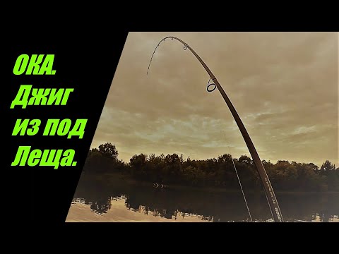 Видео: ОКА. Джиг из под Леща. Куча поклевок! Горбачи, Жерех, Щука!