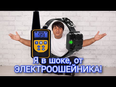 Видео: Я в шоке, от ЭЛЕКТРООШЕЙНИКА! Электроошейник решил все проблемы с непослушанием. 3 серия.