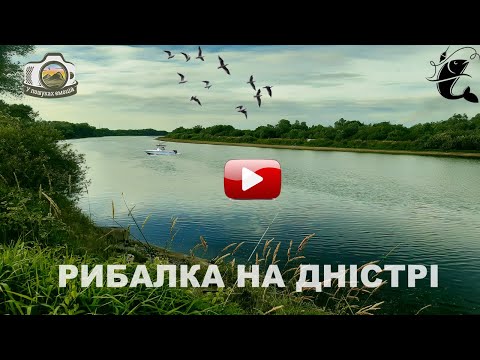 Видео: Риболовля з ночівлею на р.Дністер. Риби в річці нема!