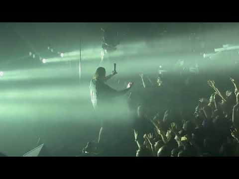 Видео: [AMATORY] - Черно-белые дни (Base Club SPB 29.11.2024)