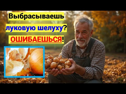 Видео: ЛУКОВАЯ ШЕЛУХА творит чудеса на огороде! Я ПРОСТО рассыпал шелуху — и земля ожила!