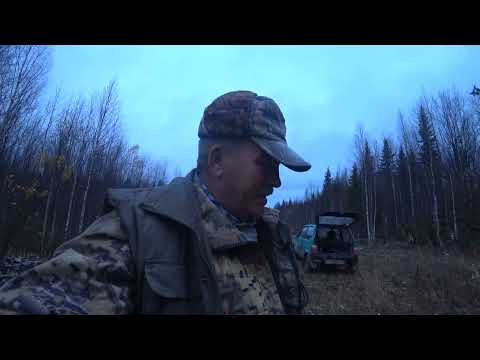 Видео: без подъёма,но с  трофеем  14 10 25 г