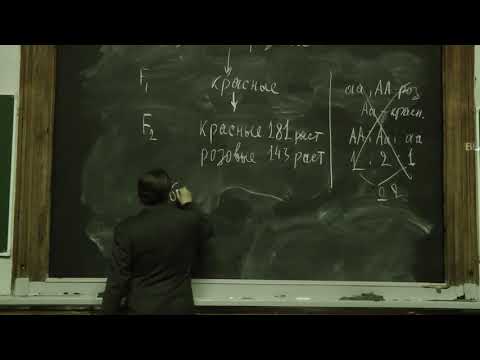 Видео: Решение задач по генетике. Часть 3. Асеев В. В. 8.11.2014 edit