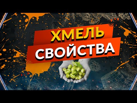 Видео: Хмель в пивоварении
