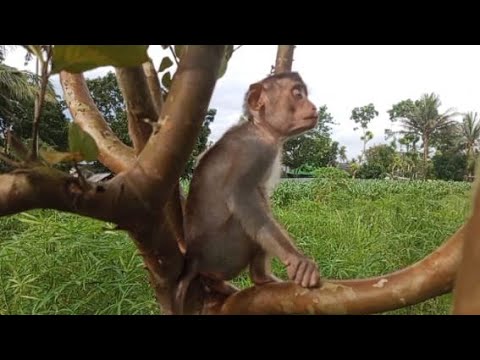 Видео: Джони пробормотал себе под нос: «ЕСЛИ БЫ Я МОГ ВИДЕТЬ» 😟😟