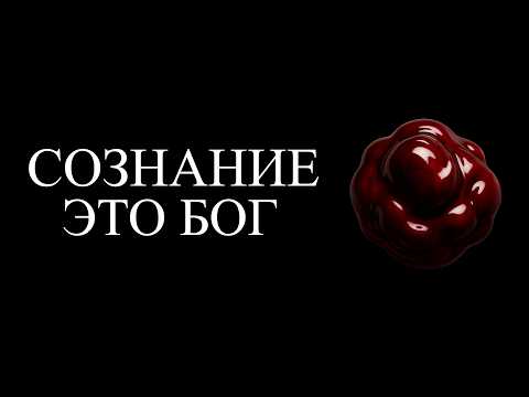 Видео: ПОЧЕМУ ЧЕЛОВЕК — ЭТО БОГ?!