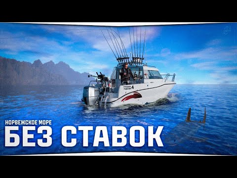Видео: Норвежское море без ставок • Русская Рыбалка 4