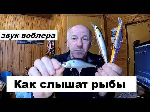 Видео: Звук воблера для судака и щуки