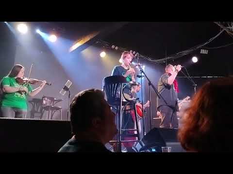 Видео: кантрибол по имени Мёрфи на концерте группы Green Crow. 24.10.2025