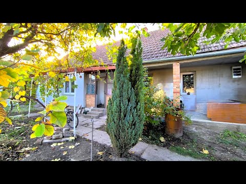 Видео: Три дома в разных локациях с разными ценами. 