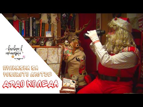 Видео: Дядо Коледа -  Приказка за Розовото листче (Театър в куфар с Лети)