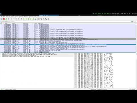 Видео: ETH и ARP + c нуля шлем TCP пакет (без права на ошибку) (Сеть Си)
