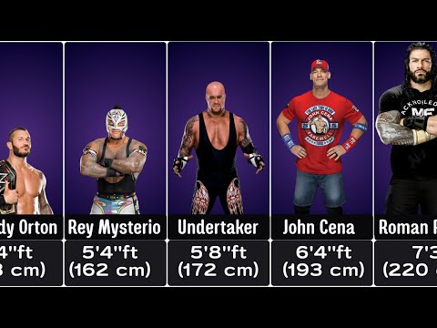 Видео: Суперзвезды WWE и их рост