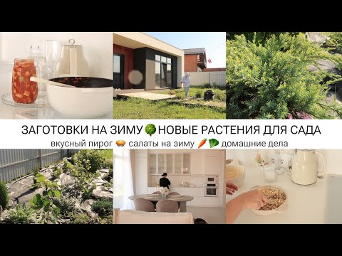 Видео: САЛАТ НА ЗИМУ ИЗ КАБАЧКОВ 🌳НОВЫЕ РАСТЕНИЯ ДЛЯ САДА🥧РЫБНЫЙ ПИРОГ🏡ДОМАШНИЕ ДЕЛА