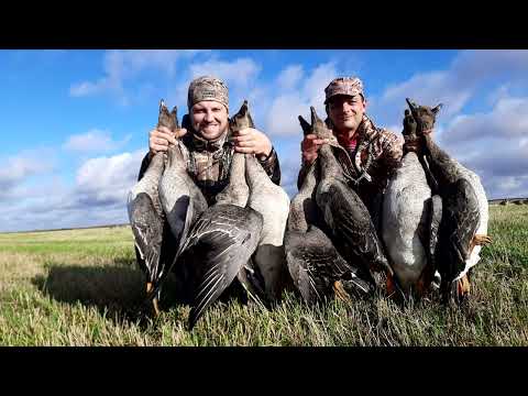 Видео: Открытие Охоты. песня об Охоте