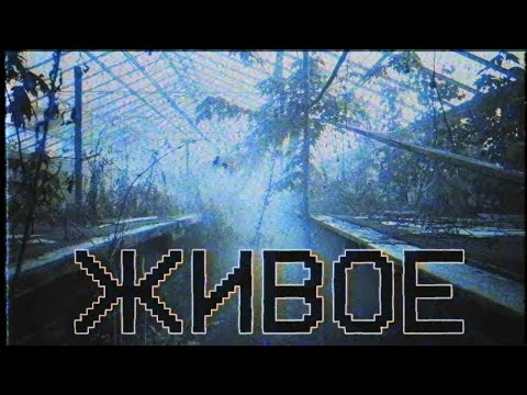 Видео: Страшные истории - Живое