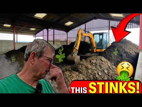 Видео: НАШЕ САМОЕ БОЛЬШОЕ КОЛИЧЕСТВО МУСОРА ЗА ВСЮ ЖИЗНЬ!!