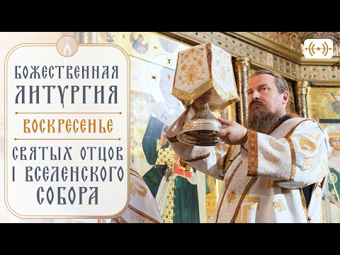 Видео: БОЖЕСТВЕННАЯ ЛИТУРГИЯ. Трансляция 16 июня (воскресенье) в 08:40