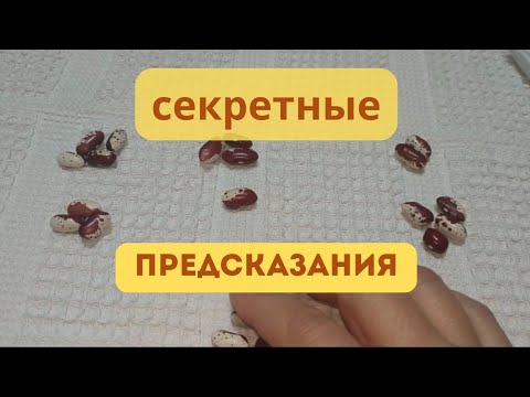 Видео: Гадание Кумалак расскажет правду