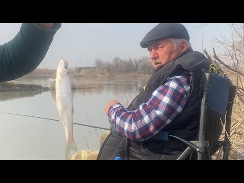 Видео: Рыбалка на Сырдарье 2025.