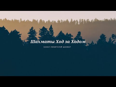 Видео: Шахматы. Теория дебютов. Королевский гамбит. Контргамбит Фалькбеера (за черных). Красивая новинка!