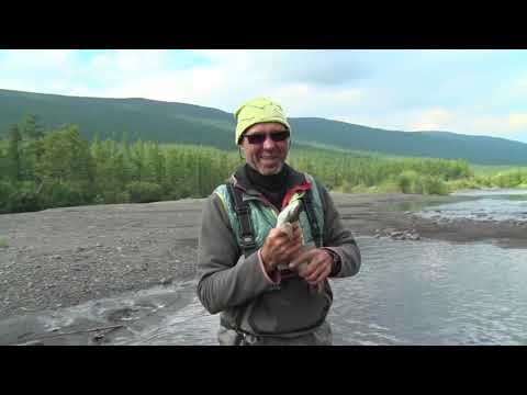 Видео: В одной связке Тымерокан и Северная 1часть