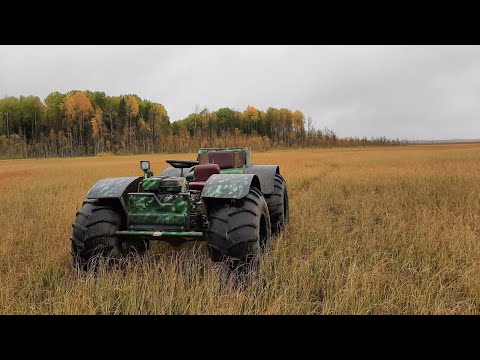 Видео: Сбор клюквы. Осень 2022. День третий