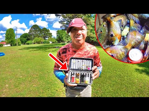 Видео: Синежаберный мальк на каждом забросе! Попробуйте! Ловля синежаберного малька на джиг и поплавок