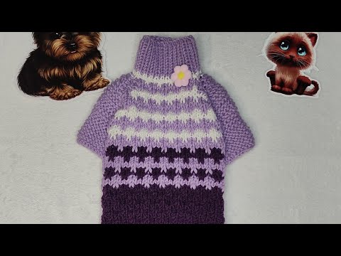 Видео: Майстер клас светр для собачки.Sweater for a dog.#handmade #tutorial #knittingneedles