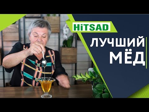 Видео: ВНИМАТЕЛЬНО Выбирайте Мёд ✔️ Лучшие Сорта Мёда ✔️ Советы От Хитсад ТВ