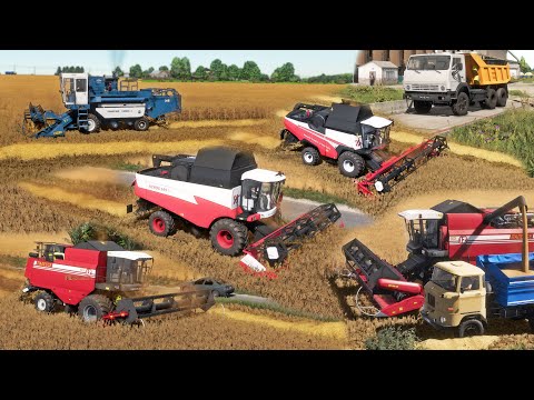 Видео: FS22 / #138 Карта Szpakowo / Уборка пшеницы Acros 595+, RSM161, Палессе GS12, ЕНИСЕЙ 1200-1, IFA W50