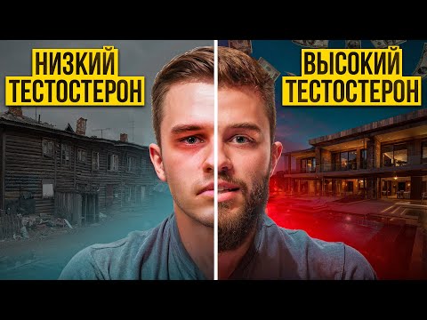 Видео: Как повысить ТЕСТОСТЕРОН натурально, 99% НЕ ЗНАЮТ про это
