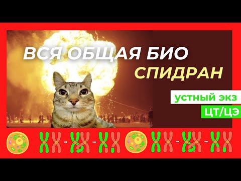 Видео: ВСЯ ОБЩАЯ БИОЛОГИЯ - ПОВТОРЕНИЕ ЦЭ/ЦТ УСТНЫЙ ЭКЗАМЕН
