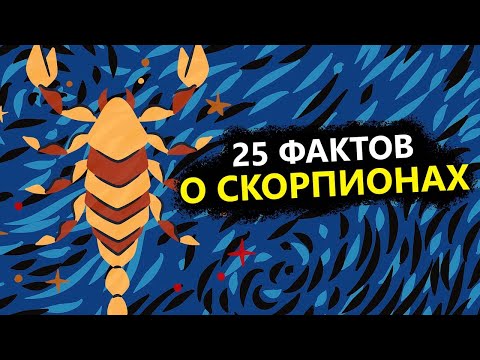 Видео: СКОРПИОН - 25 точных фактов об этом знаке.