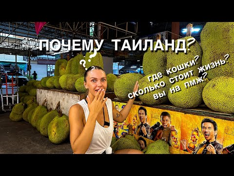 Видео: Где же наши кошки????Пробуем самы вонючий фрукт в мире. Отвечаем на ваши вопросы из ТГК!