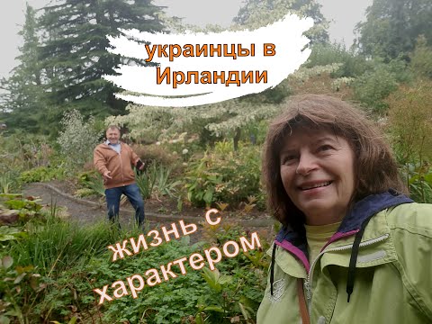 Видео: 🍏 ЯБЛОКИ, РЫНОК, УТРО В ИРЛАНДИИ – Жизнь без фильтра 😊