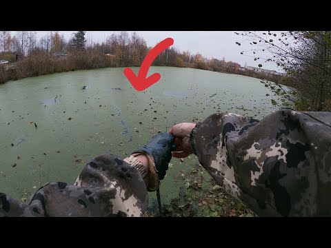 Видео: Поисковый Магнит в Жутком Болоте, Куча Криминала на Дне, снова был не в себе от находок