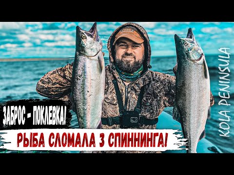Видео: ЗАБРОС – ПОКЛЕВКА. ЛОВЛЯ ГОРБУШИ В МОРЕ. ДЕЛИКАТЕСЫ.  СКАЗОЧНАЯ РЫБАЛКА В ЧАВАНЬГЕ НА КОЛЬСКОМ.
