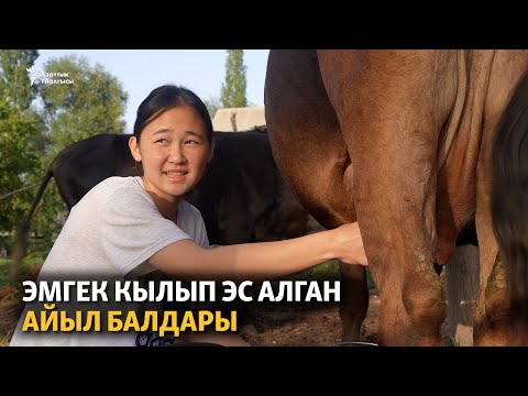 Видео: Эмгек кылып эс алган айыл балдары