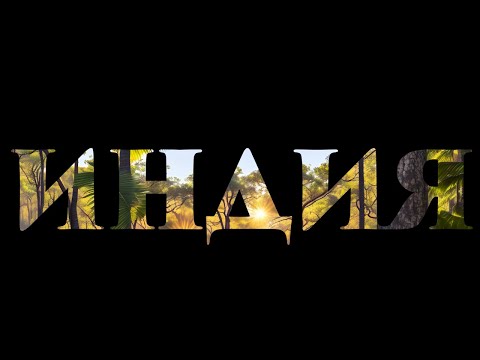 Видео: Как живут русские в Индии? 🇮🇳 | Об индийских регионах, кришнаитах, русском доме и моей жизни здесь!